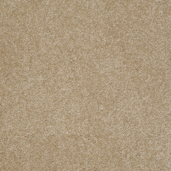 PAWPARAZZI II - Peanut Shell 00186