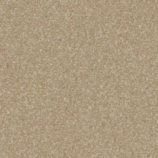 PAWPARAZZI II - Peanut Shell 00186