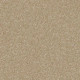 PAWPARAZZI II - Peanut Shell 00186