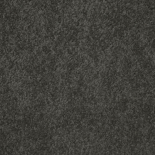 PAWPARAZZI II - Overcoat 00716
