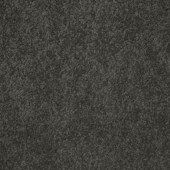 PAWPARAZZI II - Overcoat 00716 PAWPARAZZI II - Overcoat 00716