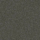 PAWPARAZZI II - Overcoat 00716 PAWPARAZZI II - Overcoat 00716