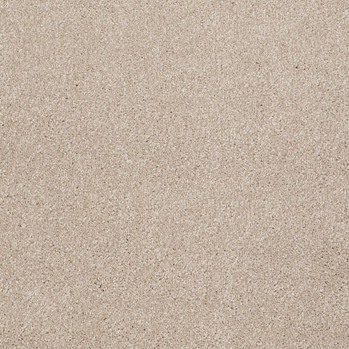 THAT'S RIGHT - French Canvas 00102