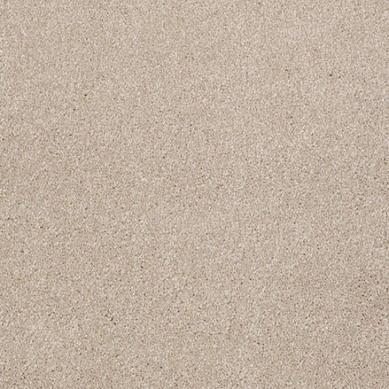 THAT'S RIGHT - French Canvas 00102 THAT'S RIGHT - French Canvas 00102