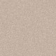 THAT'S RIGHT - French Canvas 00102 THAT'S RIGHT - French Canvas 00102