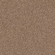 THAT'S RIGHT - Acorn 00700 THAT'S RIGHT - Acorn 00700
