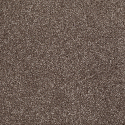 THAT'S RIGHT - Rustic Taupe 00706