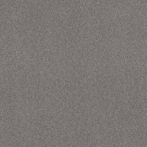 SWEET INSPIRATION I - Charcoal 00525
