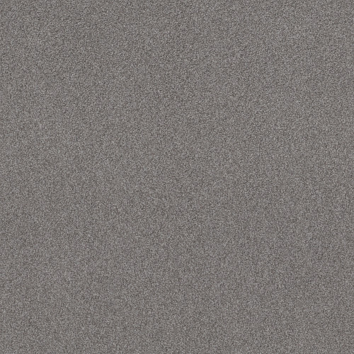 SWEET INSPIRATION I - Charcoal 00525