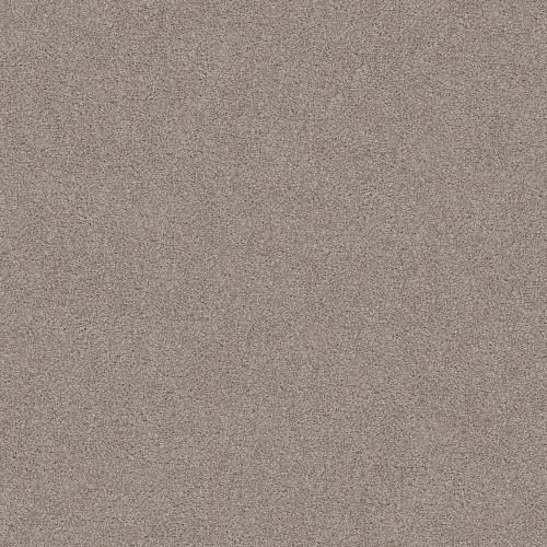 SWEET INSPIRATION I - Khaki 00722