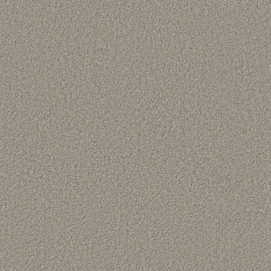 SWEET INSPIRATION I - Tempting Taupe 00724