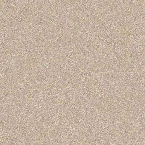 ALWAYS READY II - Gold Rush 00290