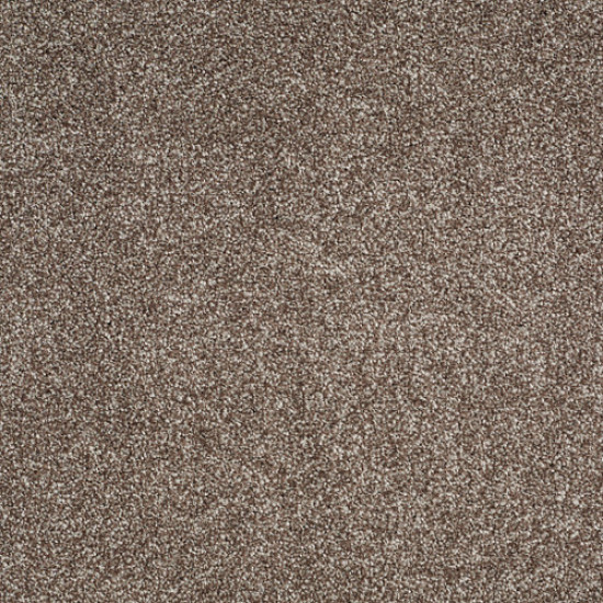 ALWAYS READY II - Cobble Brown 00798 ALWAYS READY II - Cobble Brown 00798