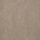 ALWAYS READY II - Warmth 00799 ALWAYS READY II - Warmth 00799
