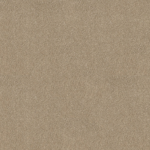 WHAT'S UP - French Canvas 00102