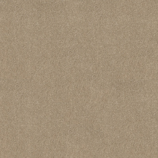 WHAT'S UP - French Canvas 00102 WHAT'S UP - French Canvas 00102