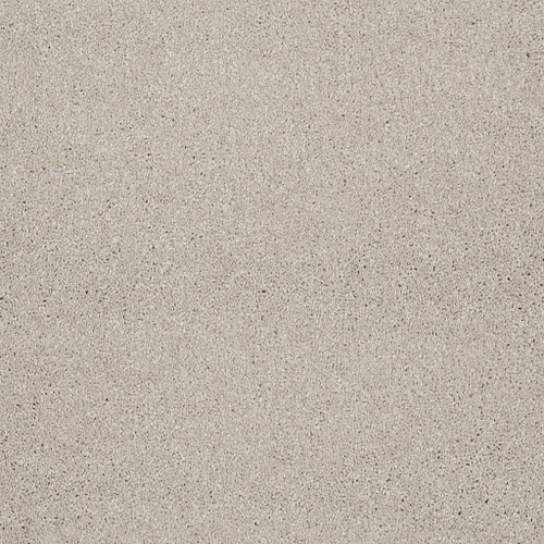 WHAT'S UP - Soft Chamois 00103