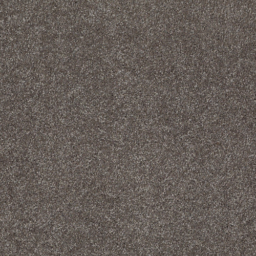 WHAT'S UP - Stone Hearth 00703