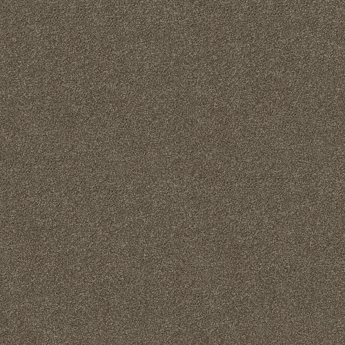 WHAT'S UP - Saddle 00718