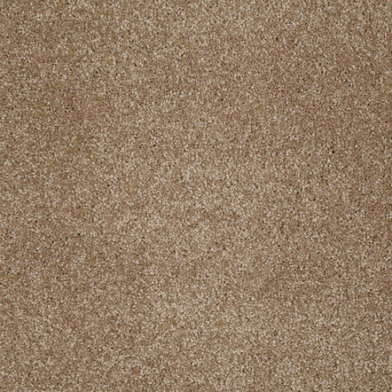 YOU KNOW IT - Bridgewater Tan 00709 YOU KNOW IT - Bridgewater Tan 00709