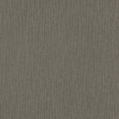BANDON DUNES - Titanium 00544
