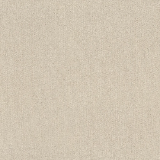 PACIFIC TRAILS - Canvas 00103 PACIFIC TRAILS - Canvas 00103