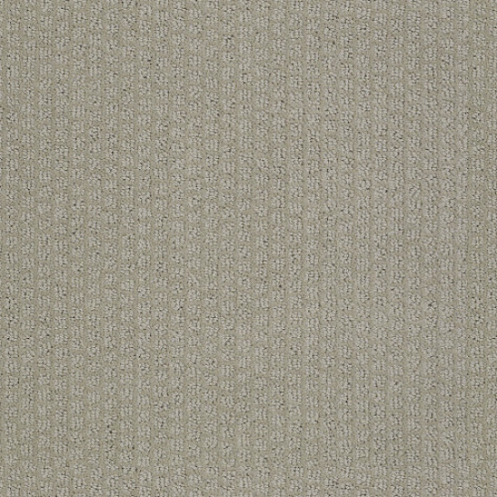 PACIFIC TRAILS - Silver Leaf 00541 PACIFIC TRAILS - Silver Leaf 00541
