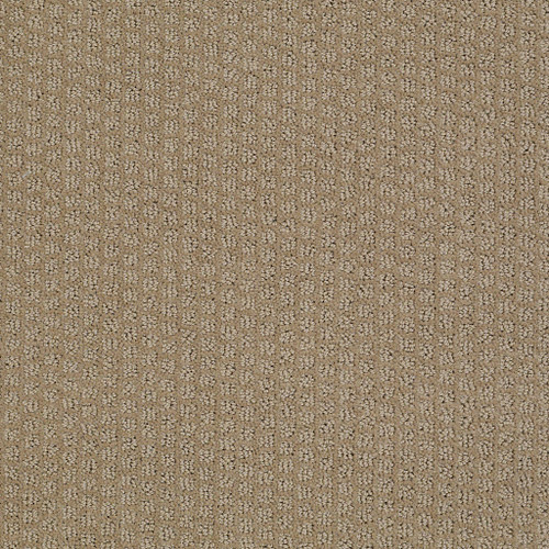 PACIFIC TRAILS - Sable 00754