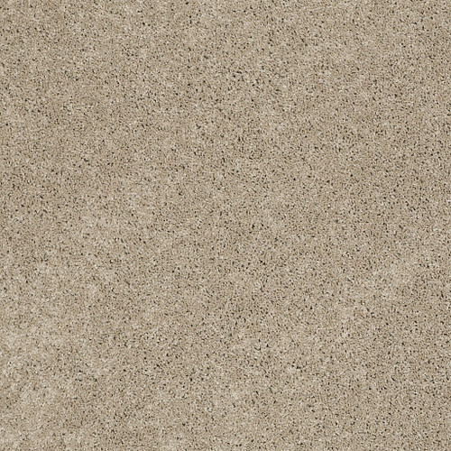SOMETHING SWEET - Khaki Tan 00700