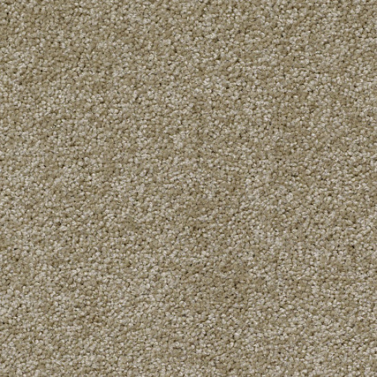 SOMETHING SWEET - Khaki Tan 00700 SOMETHING SWEET - Khaki Tan 00700