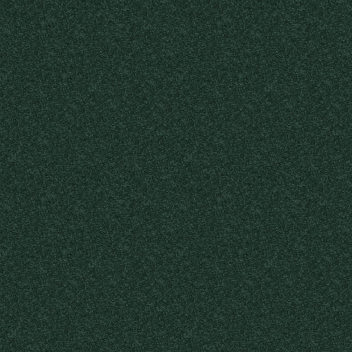 NEWBERN CLASSIC 12' - Polo 55301