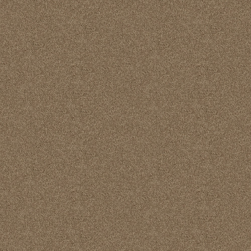 NEWBERN CLASSIC 12' - Fossil 00761