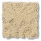MODERN AMENITIES - Yearling 00107