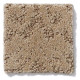 MODERN AMENITIES - White Pine 00720 MODERN AMENITIES - White Pine 00720