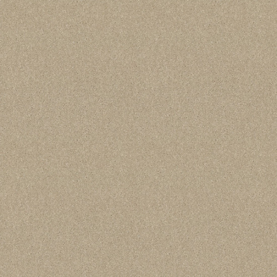 DASHING II 12' - Ivory Tint 58101 DASHING II 12' - Ivory Tint 58101