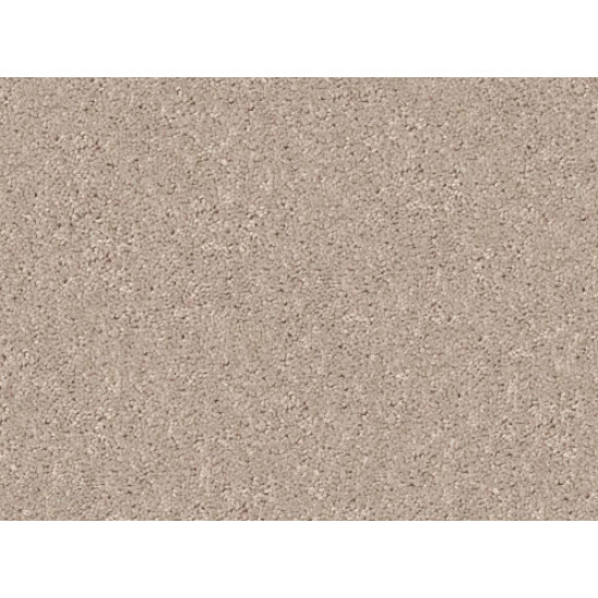 DASHING II 12' - Taupe 58105 DASHING II 12' - Taupe 58105