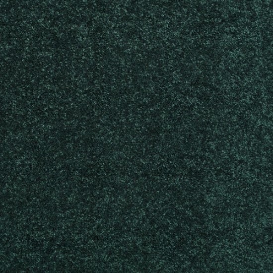 DASHING II 12' - Polo 58301 DASHING II 12' - Polo 58301