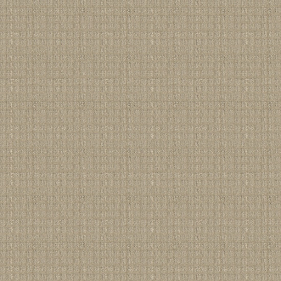 BLOCKING - Flax 00116 BLOCKING - Flax 00116