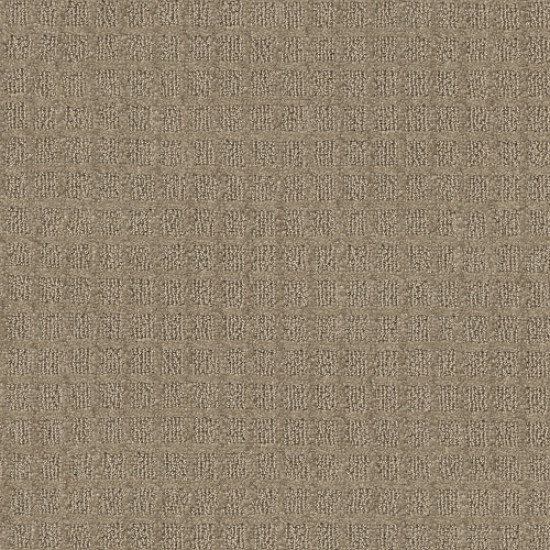 BLOCKING - Bronze 00761 BLOCKING - Bronze 00761