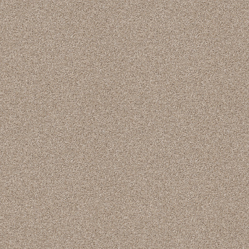 SHAKE IT UP (A) - Creamy Silk 00100