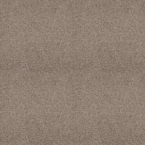 SHAKE IT UP (A) - Weathered 00101