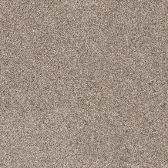 SHAKE IT UP (A) - Weathered 00101 SHAKE IT UP (A) - Weathered 00101