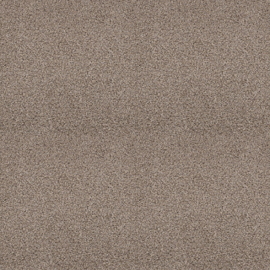 SHAKE IT UP (A) - Weathered 00101 SHAKE IT UP (A) - Weathered 00101