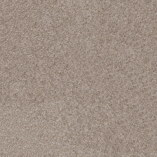 SHAKE IT UP (A) - Weathered 00101 SHAKE IT UP (A) - Weathered 00101