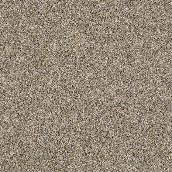 SHAKE IT UP (A) - Weathered 00101 SHAKE IT UP (A) - Weathered 00101