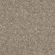 SHAKE IT UP (A) - Weathered 00101 SHAKE IT UP (A) - Weathered 00101