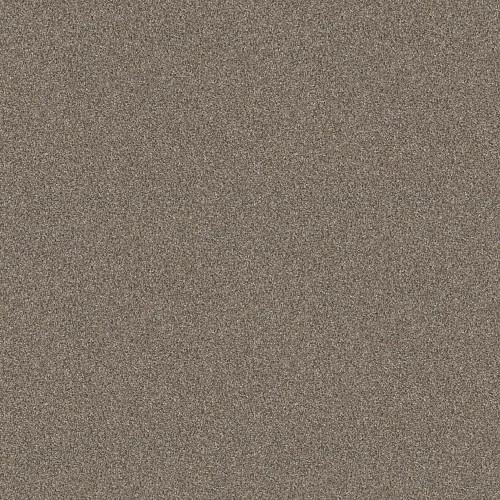 SHAKE IT UP (A) - Fox Fur 00102