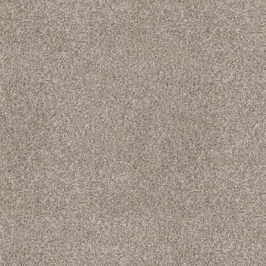 SHAKE IT UP (A) - Daytona Sand 00105 SHAKE IT UP (A) - Daytona Sand 00105