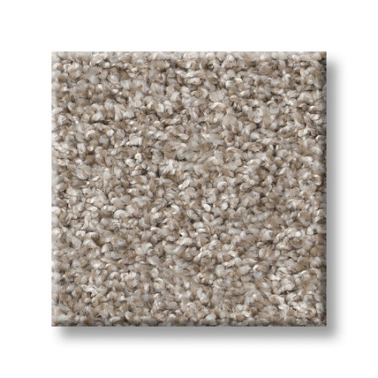SHAKE IT UP (A) - Daytona Sand 00105 SHAKE IT UP (A) - Daytona Sand 00105