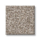 SHAKE IT UP (A) - Daytona Sand 00105 SHAKE IT UP (A) - Daytona Sand 00105
